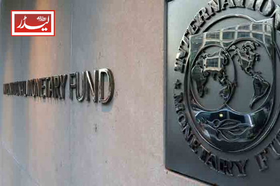 IMF_1731386672.JPG