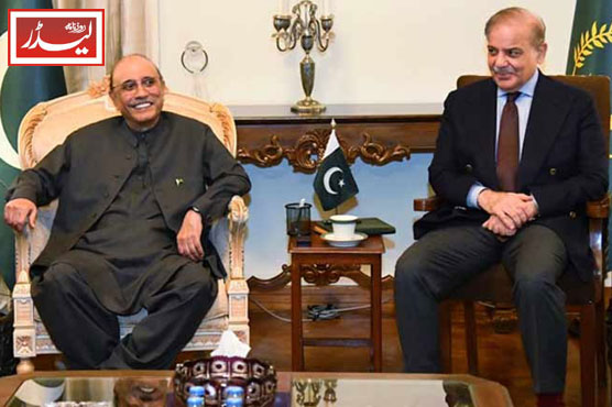 Prime_Minister_meets_President_1774522922.jpg