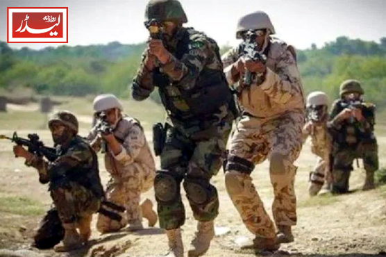 Security_Forces_1790676451.JPG