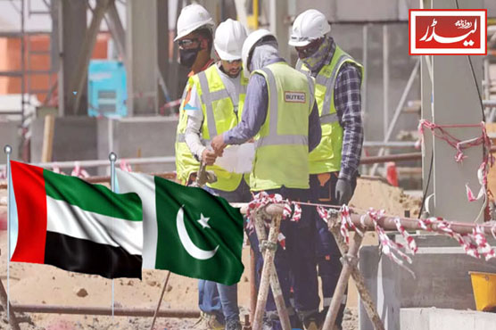 Significant_Increase_in_Number_of_Pakistanis_Going_to_UAE_1775042424.jpg