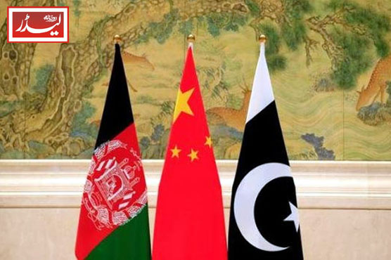 Talks_between_Pakistan_and_Afghan_Taliban_resume_1775041881.jpg