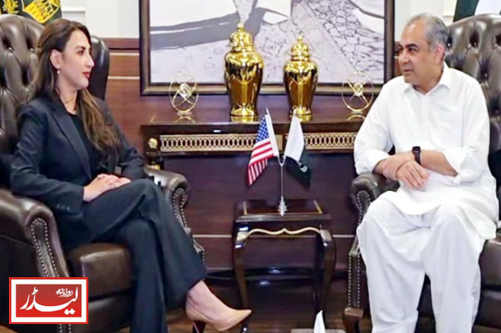 US_Ambassador_meets_Mohsin_Naqvi_1775731222.jpg